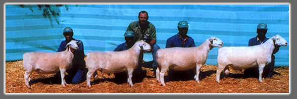 SA Championships 2004