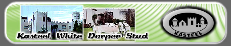 Kasteel White Dorpers - Logo